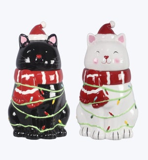 Ceramic Cat Canister 2 Ast