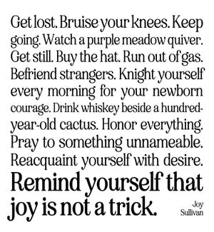 EN/Joy Is Not A Trick