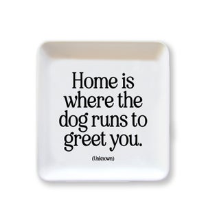 DISH/Home Is Where The Dog