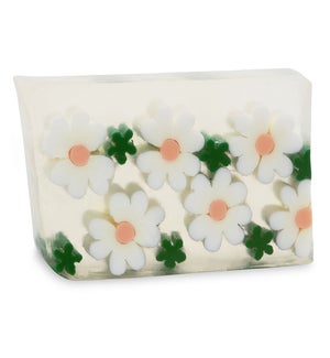 SOAP/Daisy