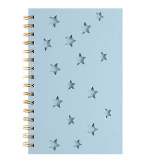 JOURNAL/Odyssey