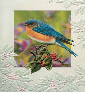 BL/Berry Blue