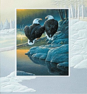 BL/Dawn's Early Light