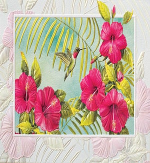 BL/Hibiscus & Hummingbird