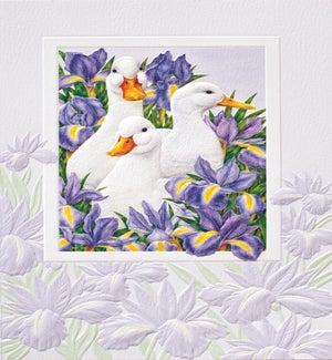 BL/Garden Ducks