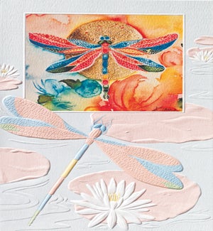 BL/Sunset Dragonfly