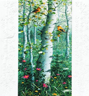 WD/Goldfinch Aspens