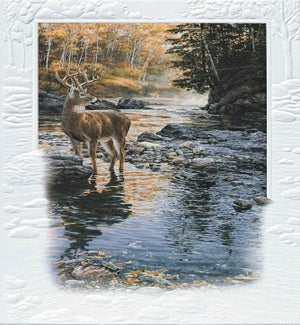 SY/Shallow Crossing