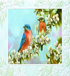 SY/Bluebird Couple