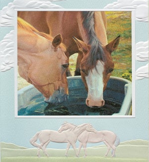 AN/Water Cooler