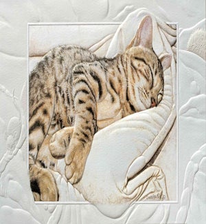 GW/Bengal Baby