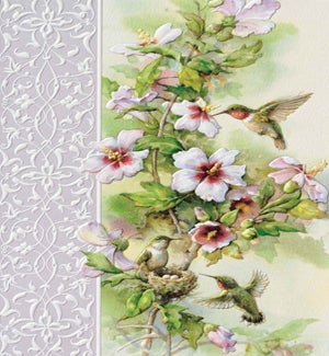 SY/Ruby-throat Hummingbirds