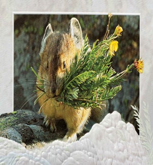 TY/Pika Posies