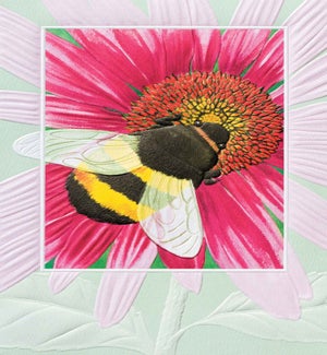 TY/Bumble Bee