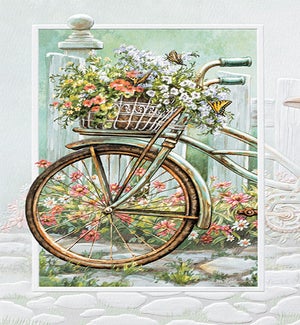 WD/Retro Bike & Basket