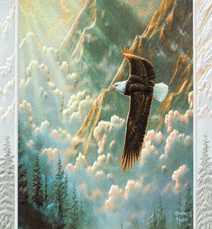 SY/Freedom Calls