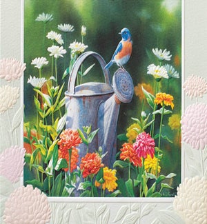 TH/Bluebird and Zinnias
