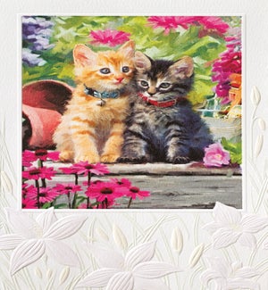 FR/The Kitten's Garden
