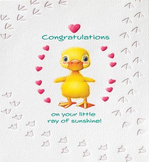 NB/Sunshine Duck
