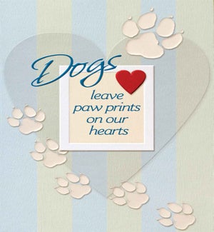 PSY/Dog's Paw
