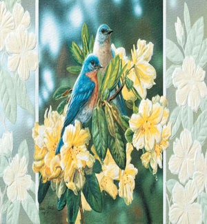 GW/Bluebirds in Rhododendren