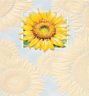 BL/Sun Worshipper
