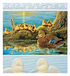 BL/Mallard Ducklings