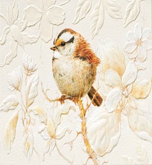 BL/Sparrow Song