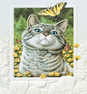 BL/Buttercup