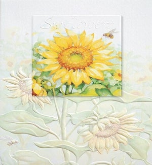 BD/Sunflower Field