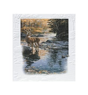 BD/Shallow Crossing