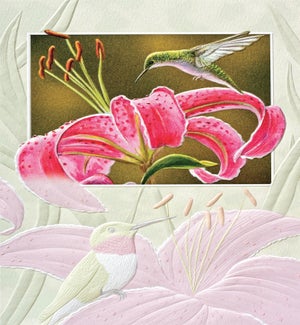 BD/Lily Lover