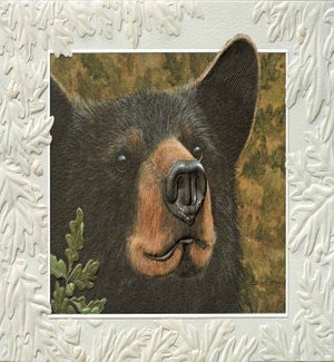 BD/Somethin's Bruin