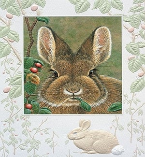 BD/Bunny Brunch