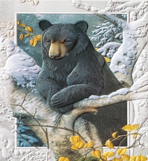 BD/Lazy Boy Folded