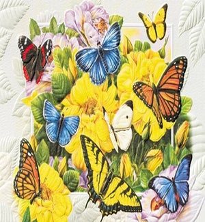 BD/Butterfly Banquet