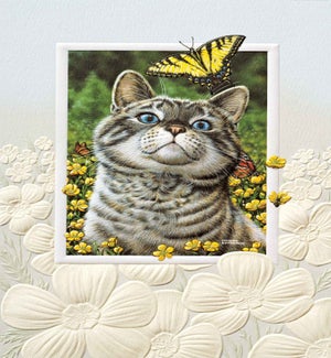BD/Buttercup