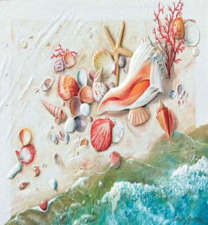 BD/Seashore Treasures