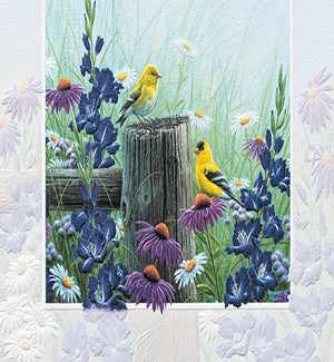 BD/Goldfinch Meadow
