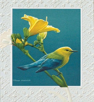 EN/Prothonotary Warbler