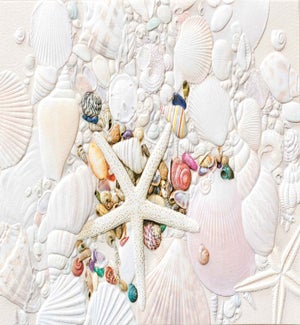 TH/Ocean Treasure