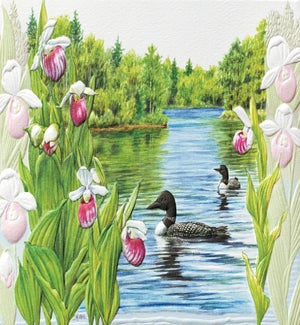AN/Loon And Lady Slippers