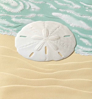 EN/Ocean Currency