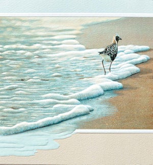 EN/Surf Walker
