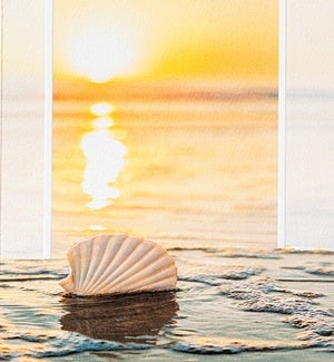 EN/Surf Jewel