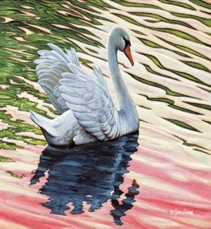 EN/Swan Serenade