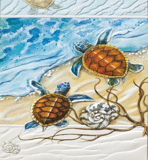 TY/Two Turtles