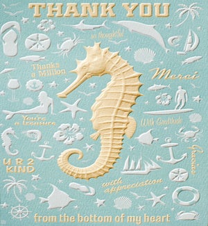 TY/Seahorse Pattern