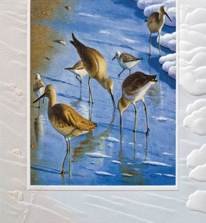 TY/Sand Pipers