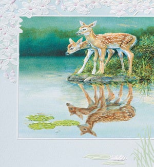 FR/Fawns in Reflection